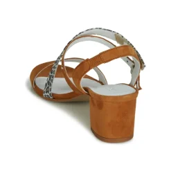 Regard - REFTA V1 ANTE CAMEL