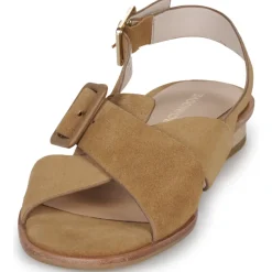 Schmoove - OPALE BUCKLE