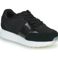 Scholl - BEYONCE'
