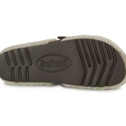 Scholl - CHARLOTTE