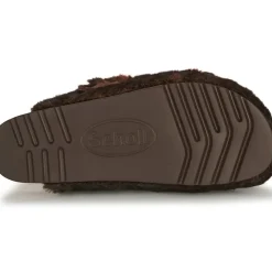 Scholl - FAE
