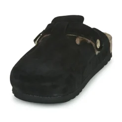 Scholl - FAE