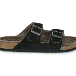 Scholl - JULIEN