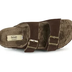 Scholl - JULIEN