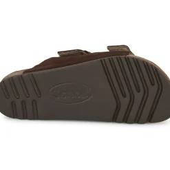 Scholl - JULIEN