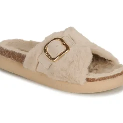 Scholl - KATY