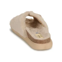 Scholl - KATY