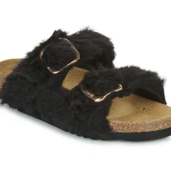 Scholl - NOELLE