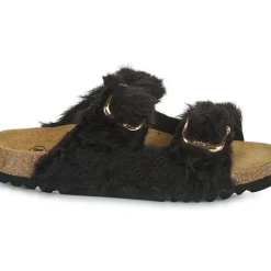 Scholl - NOELLE