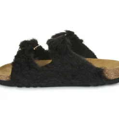 Scholl - NOELLE