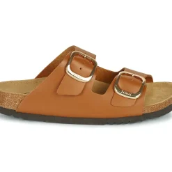 Scholl - NOELLE
