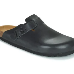 Scholl - OLIVIER