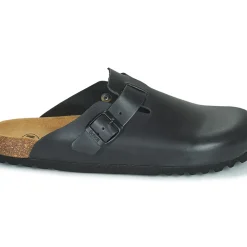 Scholl - OLIVIER