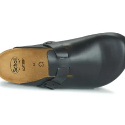 Scholl - OLIVIER