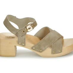 Scholl - PESCURA CATE