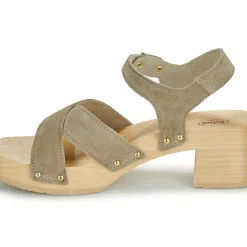 Scholl - PESCURA CATE