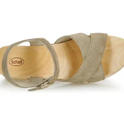 Scholl - PESCURA CATE