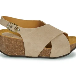 Scholl - YVONNE