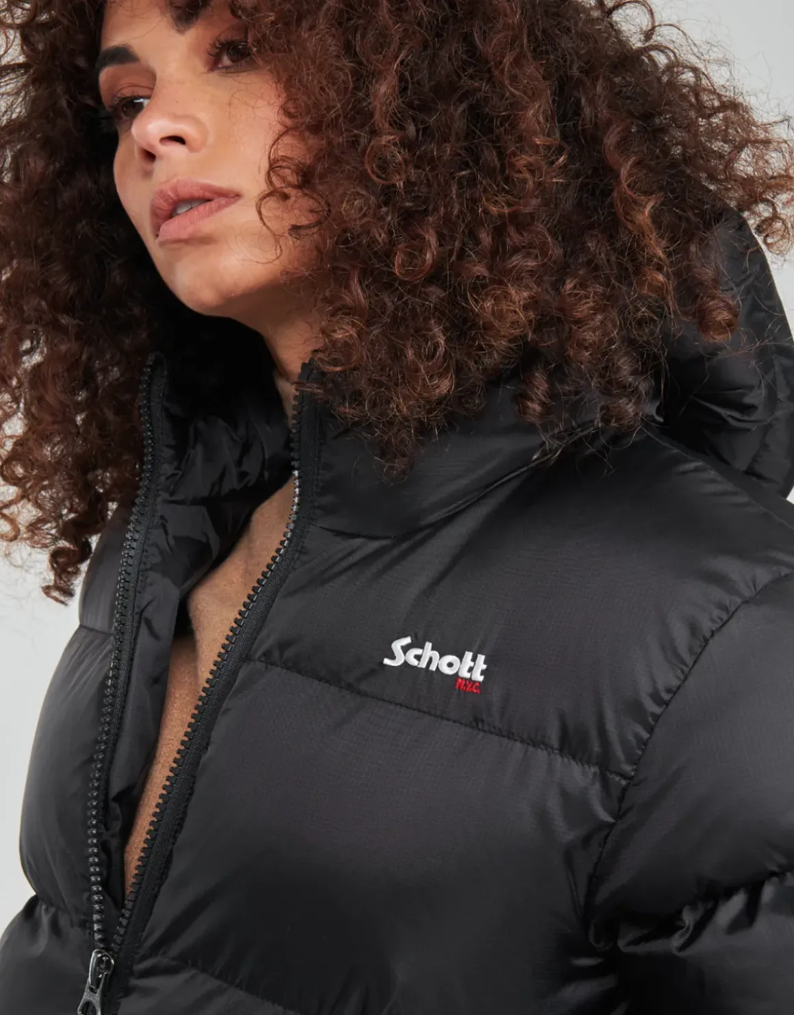 Schott - IDAHO2
