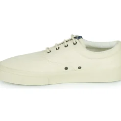 Sebago - JOHN SUEDE
