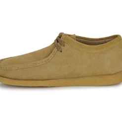 Sebago - KOALA