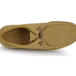 Sebago - KOALA