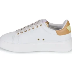 Serafini - J.CONNORS
