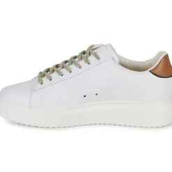 Serafini - ROGER 2