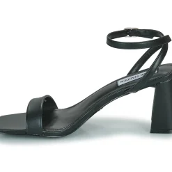 Steve Madden - LUXE