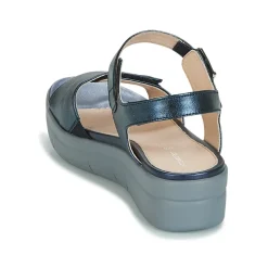 Stonefly - AQUA III 2 LAMINATED