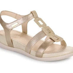 Stonefly - EVE 24 LAMINATED LTH