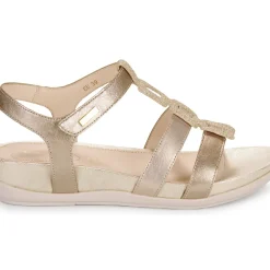 Stonefly - EVE 24 LAMINATED LTH