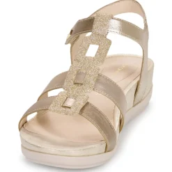 Stonefly - EVE 24 LAMINATED LTH