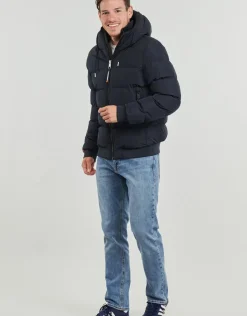 Superdry - BOMBER SPORTS