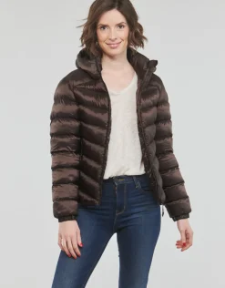 Superdry - HOODED FUJI PADDED JACKET