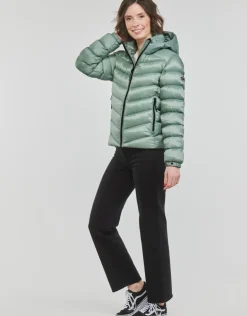 Superdry - HOODED FUJI PADDED JACKET