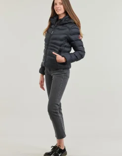 Superdry - HOODED FUJI PADDED JACKET