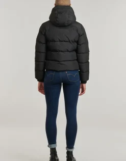 Superdry - HOODED SPORT