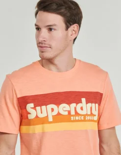 Superdry - LOGO TERRAIN