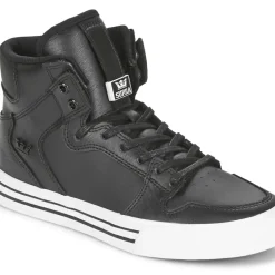 Supra - VAIDER