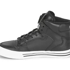 Supra - VAIDER