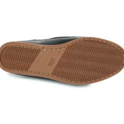 TBS - PHENIS