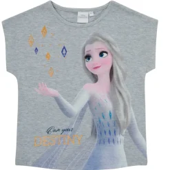 TEAM HEROES  - FROZEN SET