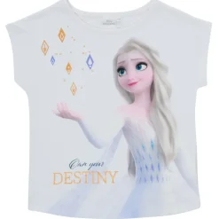 TEAM HEROES  - FROZEN SET