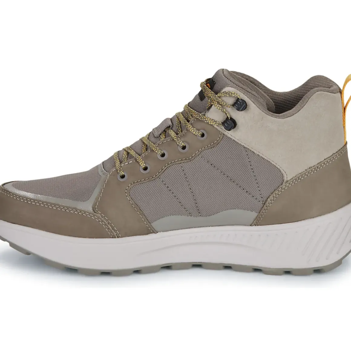 Teva - Ellwood Mid
