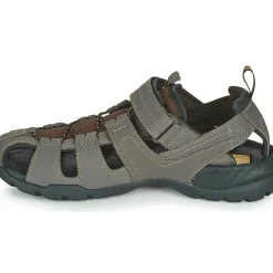 Teva - FOREBAY