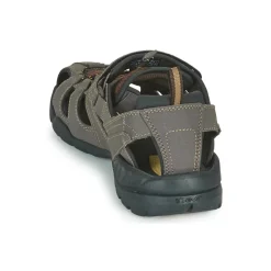 Teva - FOREBAY