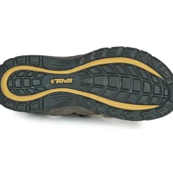 Teva - FOREBAY