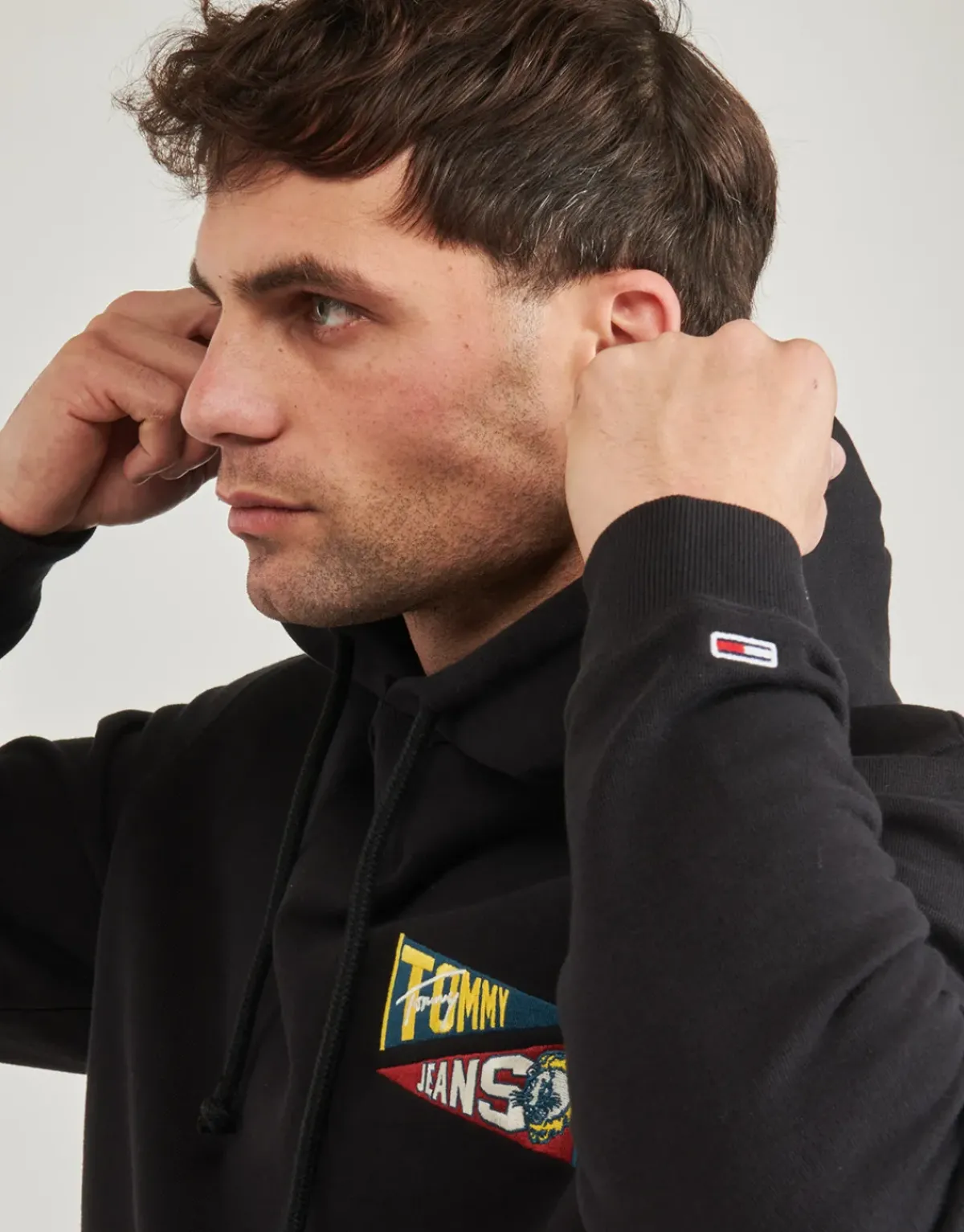 Tommy Jeans - TJM REG UNI FLAG TIGER HOODIE