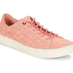 Toms - LENOX